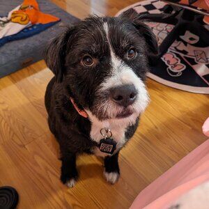 Meet your Posher, Giselle